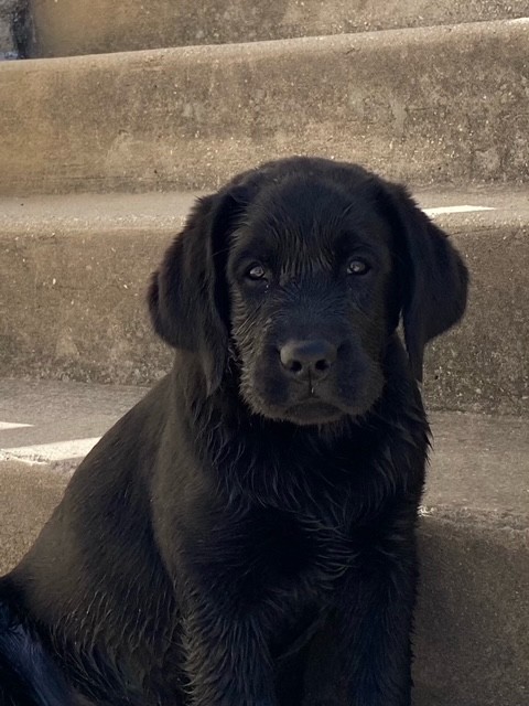Stan de La Légende de La Loutre