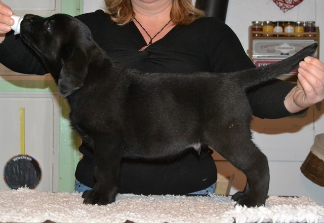 Prospère de La Légende de La Loutre