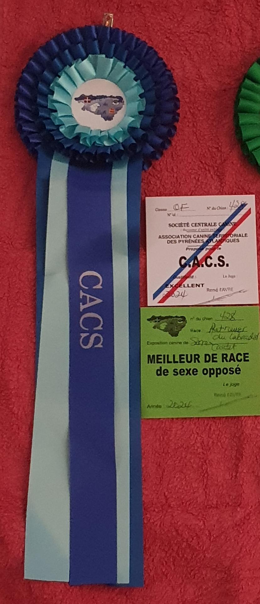 Cacs bos du 11 08 2024