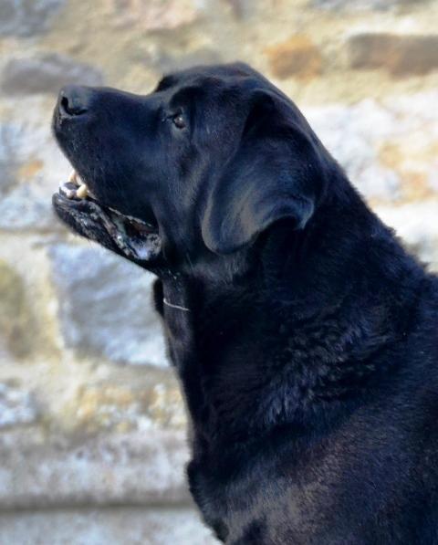 Chili 8 ans 11