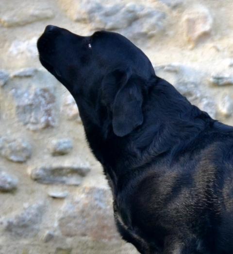 Lady 49eme jour 03