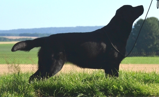 Lady tanlay 2016 01