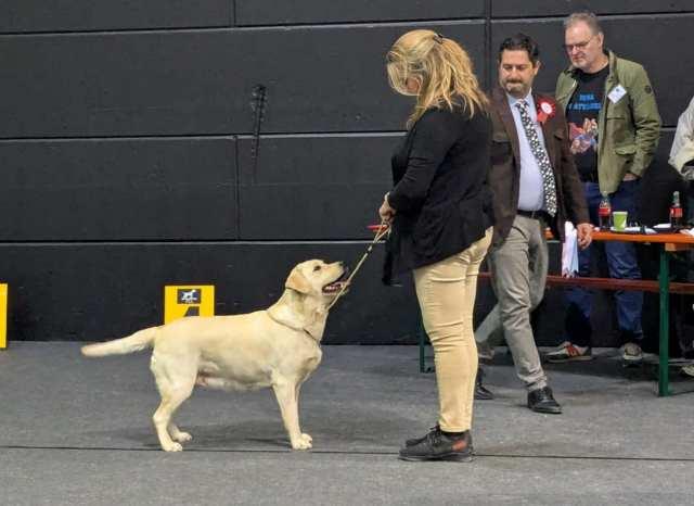 Snowbell Luxembourg