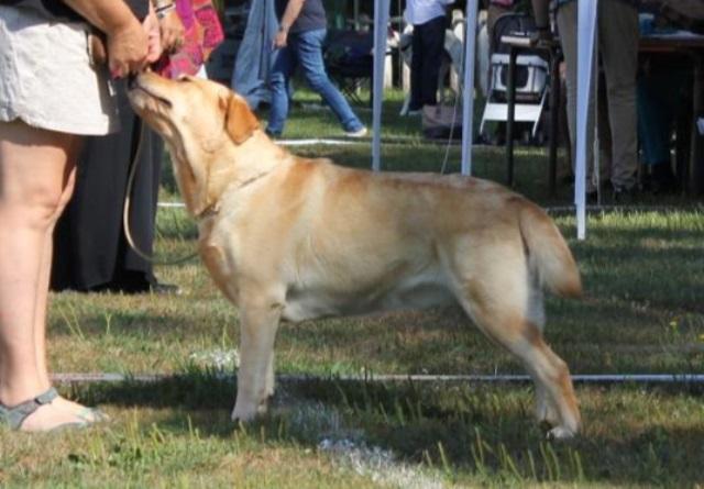 MAYA CACS BOS Serres-Castet 2024
