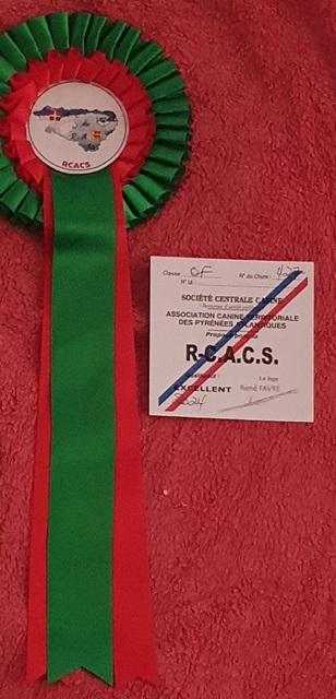 Rcacs du 11 08 2024 1