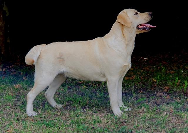 Snowbell juillet 2023