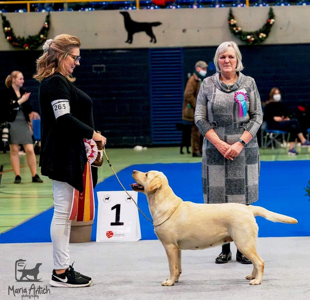 Snowbell Dog Show Suisse BOB