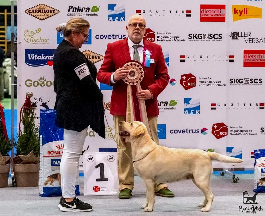Snowbell Dog Show Suisse BIS