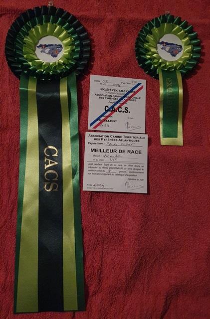 TARA CACS BOB Serres-Castet 2024