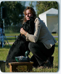 Labrador Retriever vainqueur Nationale d'Elevage